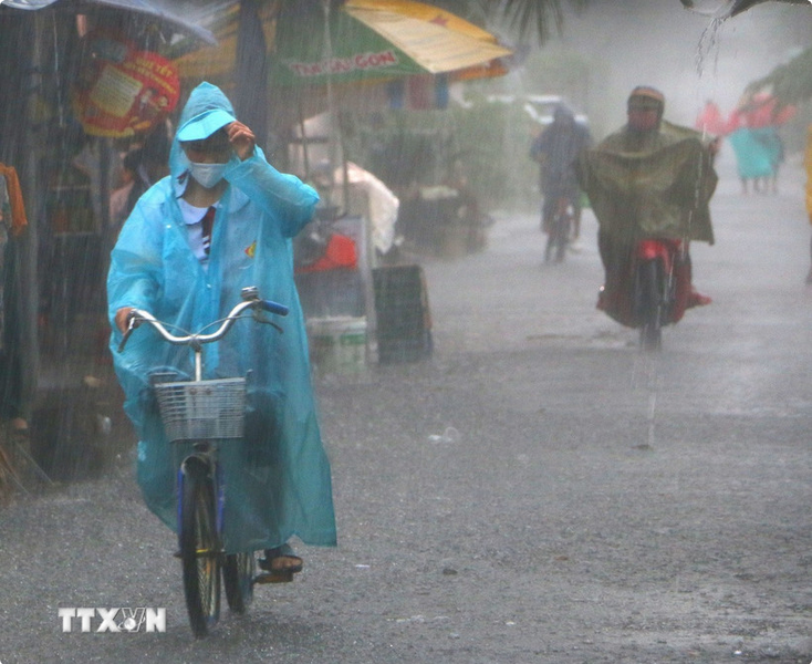 (Ảnh: Duy Khương/TTXVN) (Ảnh: Duy Khương/TTXVN)