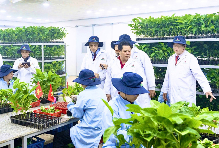 Đoàn chuyên gia, nhà khoa học Israel đến tham quan vườn ươm giống chanh dây ứng dụng công nghệ Israel của Công ty Cổ phần quốc tế Thông Đỏ (xã Ia Le, tỉnh Gia Lai). Ảnh: Minh Phương ia-le.jpg