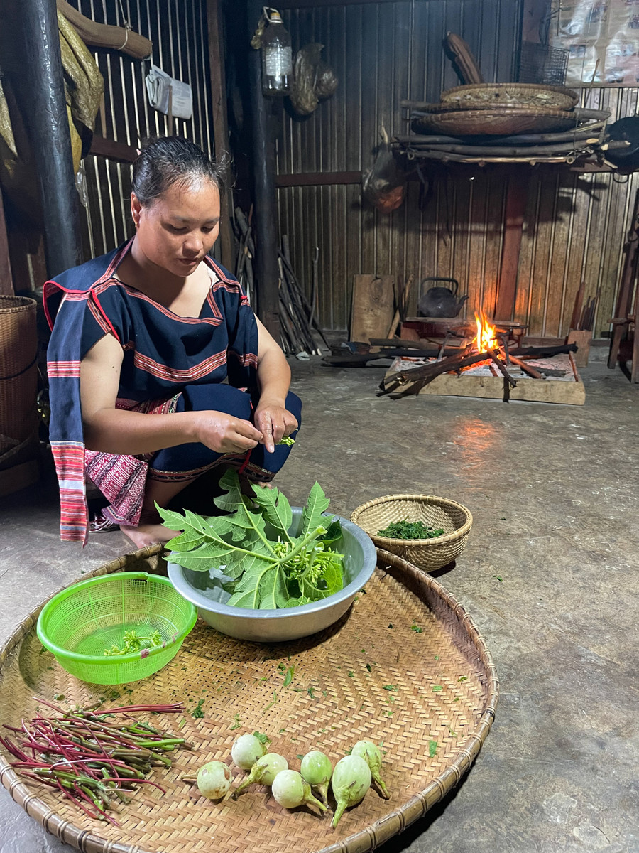Nguyên liệu làm lá mì, cà đắng đều trồng quanh vườn nhà. Ảnh: Hoàng Ngọc img-9310.jpg