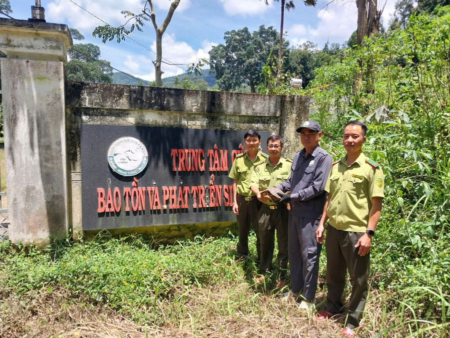 lanh-dao-hat-kiem-lam-khu-vuc-duc-co-ban-giao-ca-the-rua-dat-lon-cho-trung-tam-cuu-ho-bao-ton-va-phat-trien-sinh-vat-cham-soc-nuoi-duong.jpg