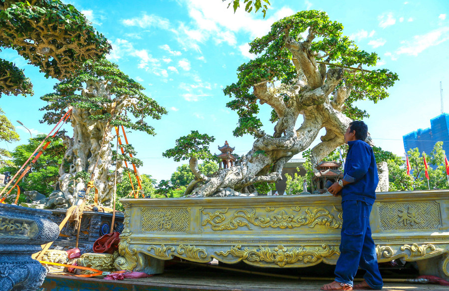 lien-hoan-trien-lam-sinh-vat-canh.jpg