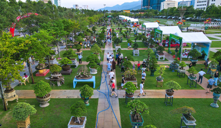 quang-truong-quy-nhon.jpg